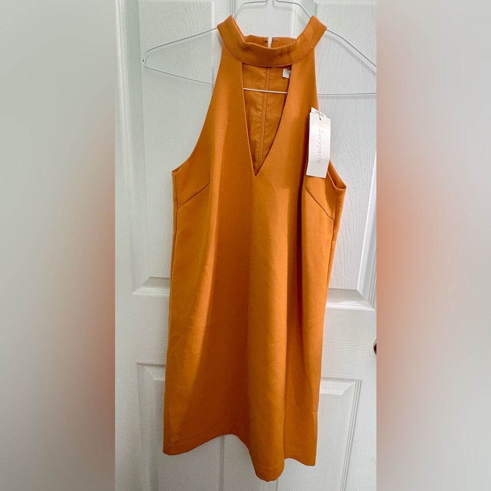 Brand New Lucy Paris Mini Dress